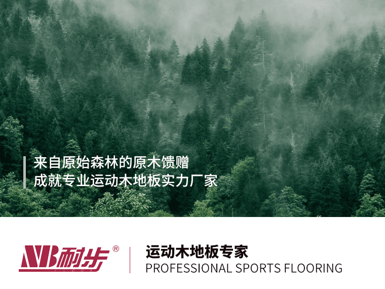 耐步地板：耐心深耕，在体育馆木地板领域步履不停